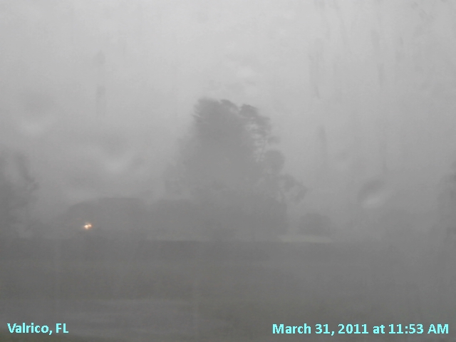 Thunderstorm Video from March 31, 2011 (wmv file)